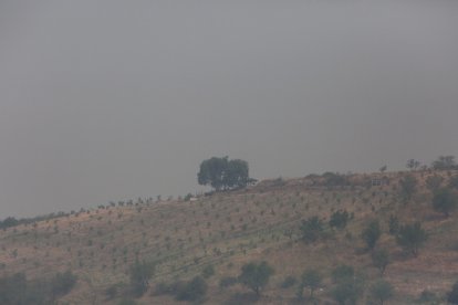 Intenso humo en El Bierzo debido a los diferentes incendios activos en la zona.