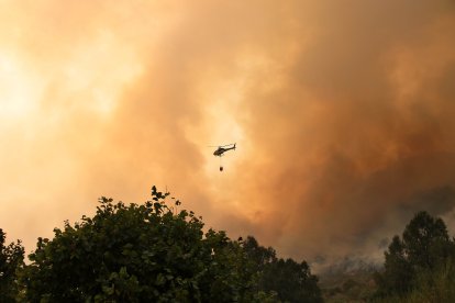 Incendio forestal en la localidad de Fasgar (León)