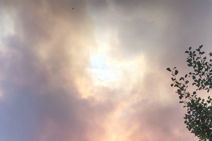 Efectos del incendio de Molezuelas.