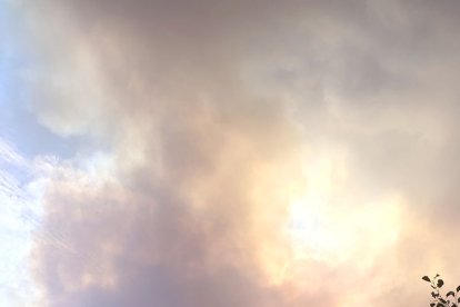 Efectos del incendio de Molezuelas.