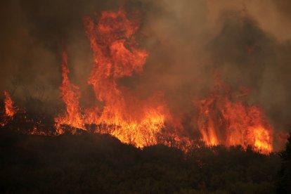 Incendio en Fasgar (León)