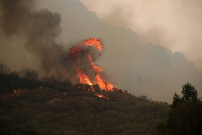 Incendio en Fasgar (León)