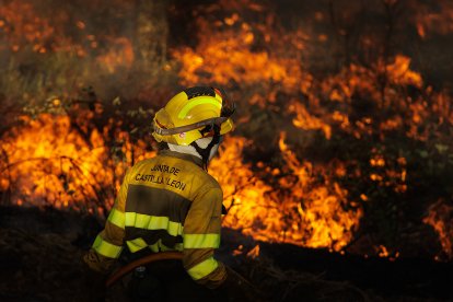 Incendio forestal en El Payo (Salamanca) en nivel 2
