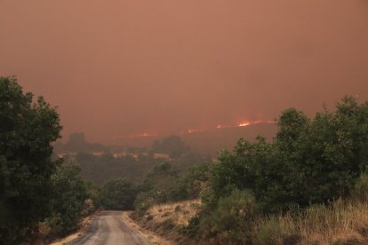 Vecinos y personal forestal de Busnadiego y Piedras Albas (Lucillo, León) se afanan intentando parar el incendio