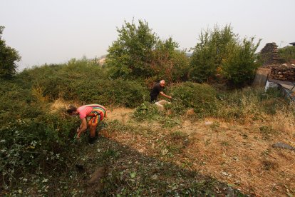 Vecinos del Acebo de San Miguel (León), realizan desbroces alrededor del pueblo ante la posible llegada del fuego