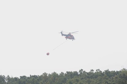 Incendio de Porto en Sanabria.