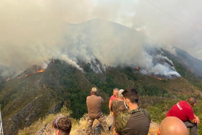 Incendio en el municipio de Oencia (León)