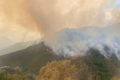 Incendio en el municipio de Oencia (León)