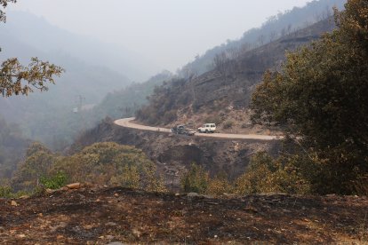 Incendio en el municipio de Oencia (León)