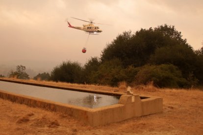 Vecinos y personal forestal de Busnadiego y Piedras Albas (Lucillo, León) se afanan intentando parar el incendio que amenaza los pueblos.