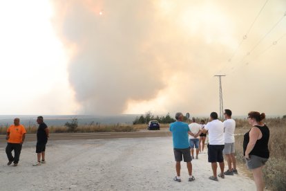 Vista del incendio desde Villalba de Guardo (Palencia).