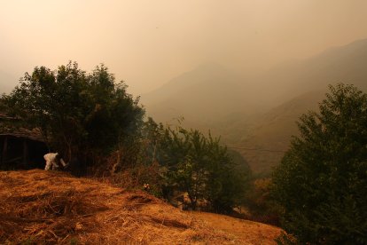 Vecinos de Lusio (León), realizan desbroces alrededor del pueblo ante la posible llegada del incendio.
