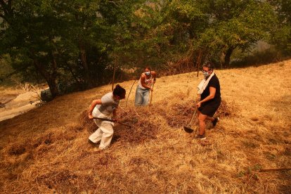 Vecinos de Lusio (León), realizan desbroces alrededor del pueblo ante la posible llegada del incendio.