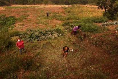 Vecinos de Lusio (León), realizan desbroces alrededor del pueblo ante la posible llegada del incendio.