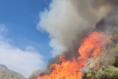 Incendio en la Sierra de Béjar cerca de Candelario.