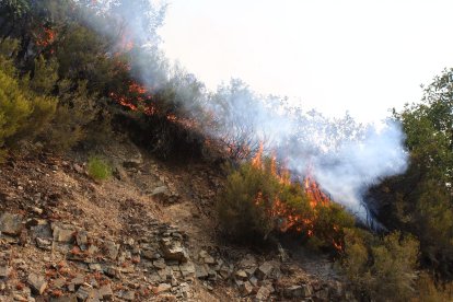 Incendio en Colinas del Campo de Martín Moro Toledano perteneciente al municipio de Igüeña (León)