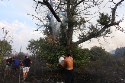 Incendio en Molinaseca (León)