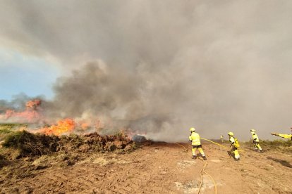 Bomberos forestales de diferentes operativos de otras comunidades autónomas colaboran en la extinción de los incendios de Castilla y León