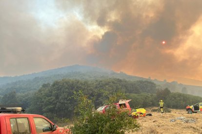 Bomberos forestales de diferentes operativos de otras comunidades autónomas colaboran en la extinción de los incendios de Castilla y León