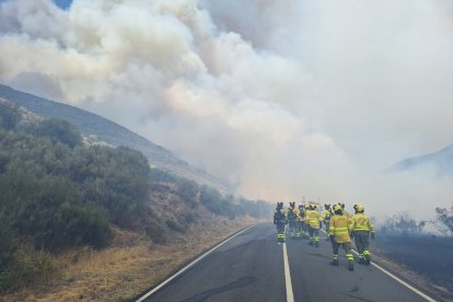 Bomberos forestales de diferentes operativos de otras comunidades autónomas colaboran en la extinción de los incendios de Castilla y León
