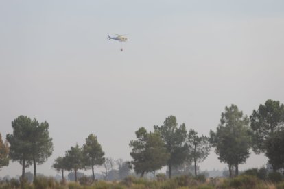 Incendio entre Malillos y la Cernecina en Zamora