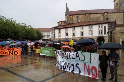 Manifestación y recogida de Alegación en Espinosa de los Monteros (Burgos)
