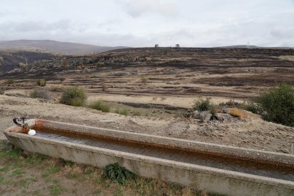 La consejera de Agricultura, Ganadería y Desarrollo Rural, María González Corral, visita una ganadería de ovino afectada por los incendios en Chana de Somoza, en el municipio de Lucillo (León)