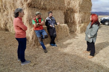 La consejera de Agricultura, Ganadería y Desarrollo Rural, María González Corral, visita una ganadería de ovino afectada por los incendios en Chana de Somoza, en el municipio de Lucillo (León)