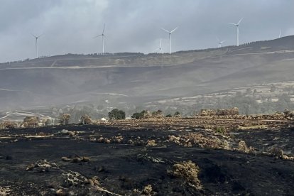 La consejera de Agricultura, Ganadería y Desarrollo Rural, María González Corral, visita una ganadería de ovino afectada por los incendios en Chana de Somoza, en el municipio de Lucillo (León)