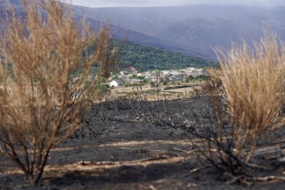 La consejera de Agricultura, Ganadería y Desarrollo Rural, María González Corral, visita una ganadería de ovino afectada por los incendios en Chana de Somoza, en el municipio de Lucillo (León)