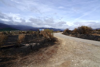 La consejera de Agricultura, Ganadería y Desarrollo Rural, María González Corral, visita una ganadería de ovino afectada por los incendios en Chana de Somoza, en el municipio de Lucillo (León)