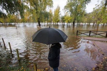 Crecida del río Águeda a su paso por Ciudad Rodrigo (Salamanca)