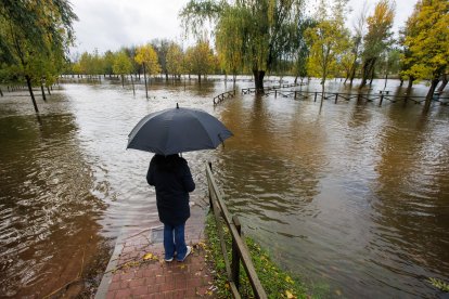 Crecida del río Águeda a su paso por Ciudad Rodrigo (Salamanca)