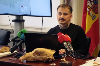Presentación de primeras evidencias de oso de las cavernas de la provincia de León