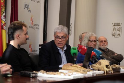 Presentación de primeras evidencias de oso de las cavernas de la provincia de León
