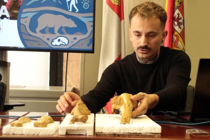 Presentación de primeras evidencias de oso de las cavernas de la provincia de León