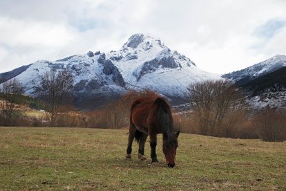 La primera nevada de la temporada llega a las cumbres de la vertiente leonesa de la Cornisa Cantábrica