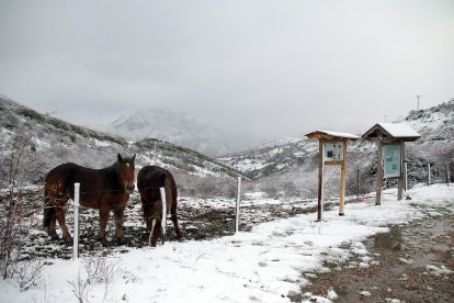 La primera nevada de la temporada llega a las cumbres de la vertiente leonesa de la Cornisa Cantábrica