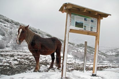 La primera nevada de la temporada llega a las cumbres de la vertiente leonesa de la Cornisa Cantábrica