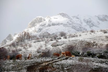 La primera nevada de la temporada llega a las cumbres de la vertiente leonesa de la Cornisa Cantábrica