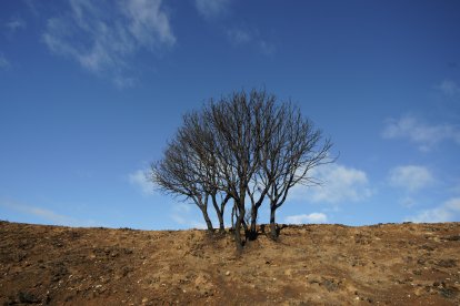 Estado del paraje de Las Médulas tras los incendios del verano.