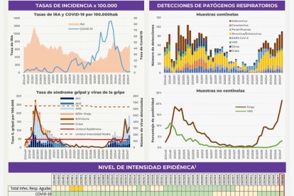 Datos del informe Vigira.