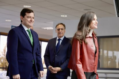 La reina Letizia acude a la reunión del Consejo Del Real Patronato sobre Discapacidad en la celebración del Día Internacional de la Discapacidad.