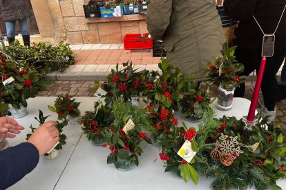 Ediciones anteriores de la Feria del Acebo de Prádena