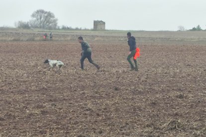 Distintos momentos de la final del campeonato de España de Caza menor con perro