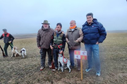 Distintos momentos de la final del campeonato de España de Caza menor con perro