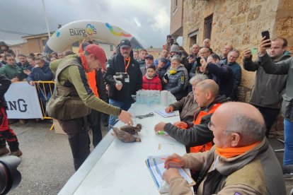Distintos momentos de la final del campeonato de España de Caza menor con perro