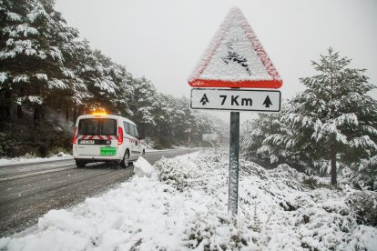 La nieve regresa a las zonas montañosas del sur de Salamanca.