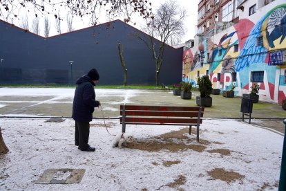 Ligera nevada en la provincia de Valladolid