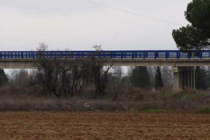 Estado de ejecución en los tramos de la A-11 en la provincia de Valladolid.